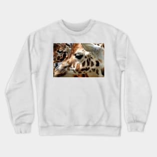 African Giraffe Amelopardalis Giraffa Crewneck Sweatshirt